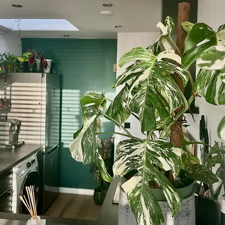 Apartment Peaceful *